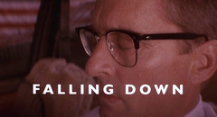 Falling Down