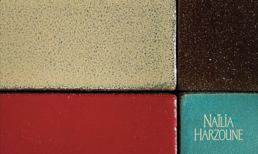 IMAGE: Still - Credit for Naïlia Harzoune